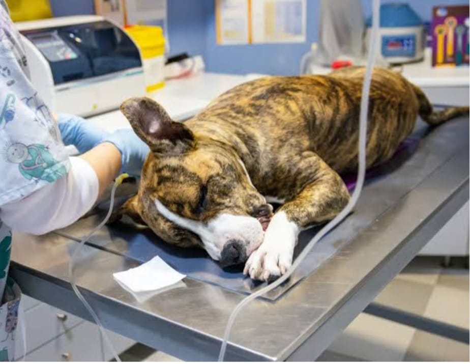 WhatsApp Image 2025-08-29 at 16.23.53.jpeg